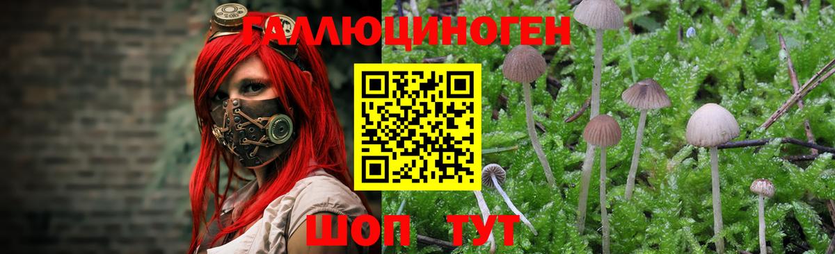 Галлюциногенные грибы GOLDEN TEACHER  Вход с VPN  Галлюциногенные грибы GOLDEN TEACHER  закладка  Еманжелинск 